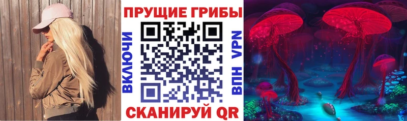 даркнет сайт  Фрязино  Галлюциногенные грибы Psilocybine cubensis 